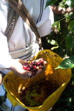 Načíst obrázek do prohlížeče Galerie, Zrnková káva Café Arhuacos – BIO 100% Arabica od kmene z Kolumbie